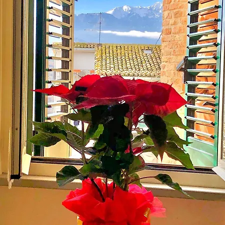 Guesthouse Casa Da Carmine بيت ضيافة روما